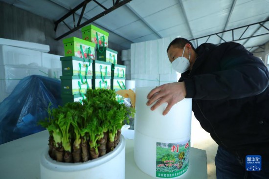 种植什么致富辽宁_辽宁种植什么_辽宁种植作物