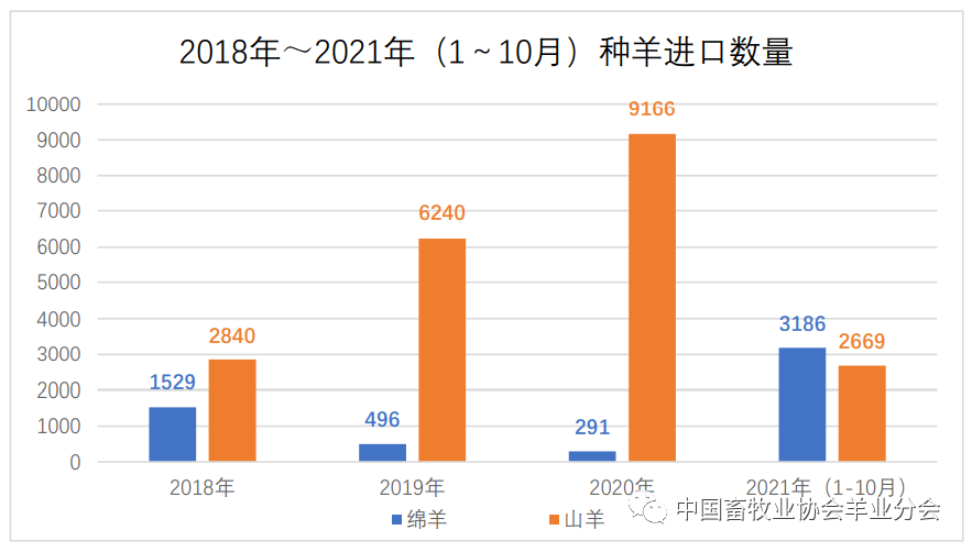 养殖羊的视频_羊的养殖技术视频6_养殖羊视频教程全集