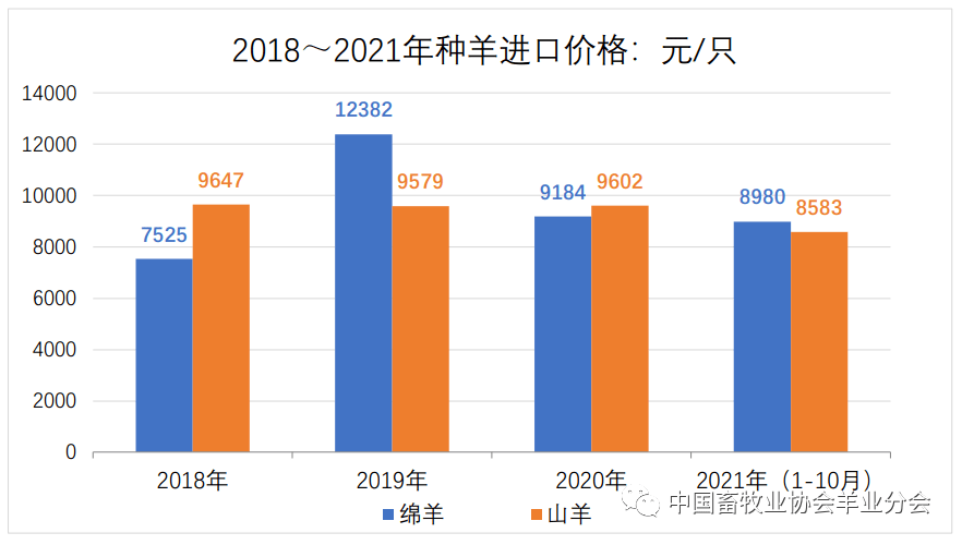 养殖羊的视频_养殖羊视频教程全集_羊的养殖技术视频6