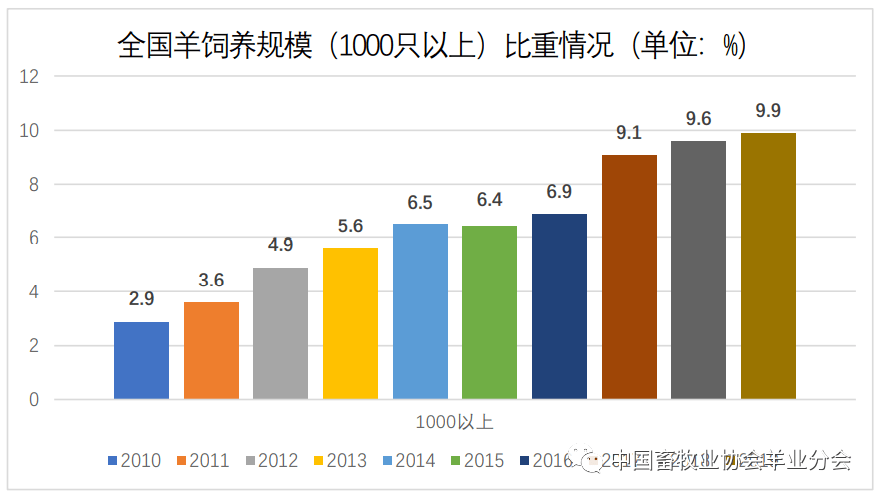 羊的养殖技术视频6_养殖羊视频教程全集_养殖羊的视频