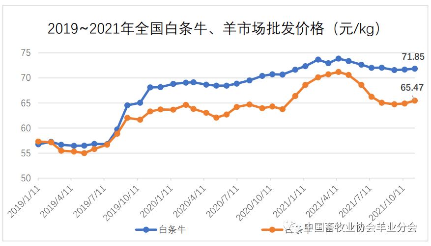 养殖羊视频教程全集_养殖羊的视频_羊的养殖技术视频6