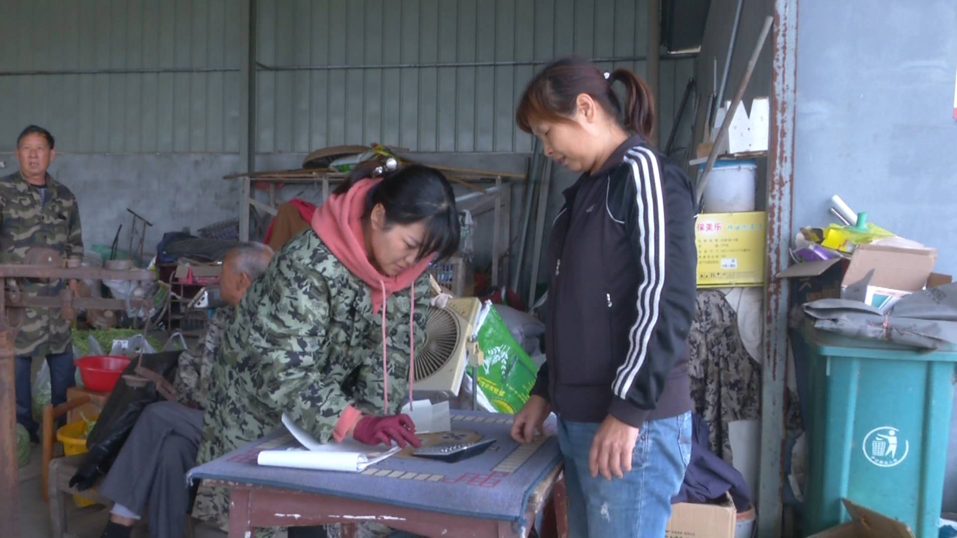 种植露天蔬菜能挣钱吗_致富露天农业种菜文案_农业致富经露天种菜