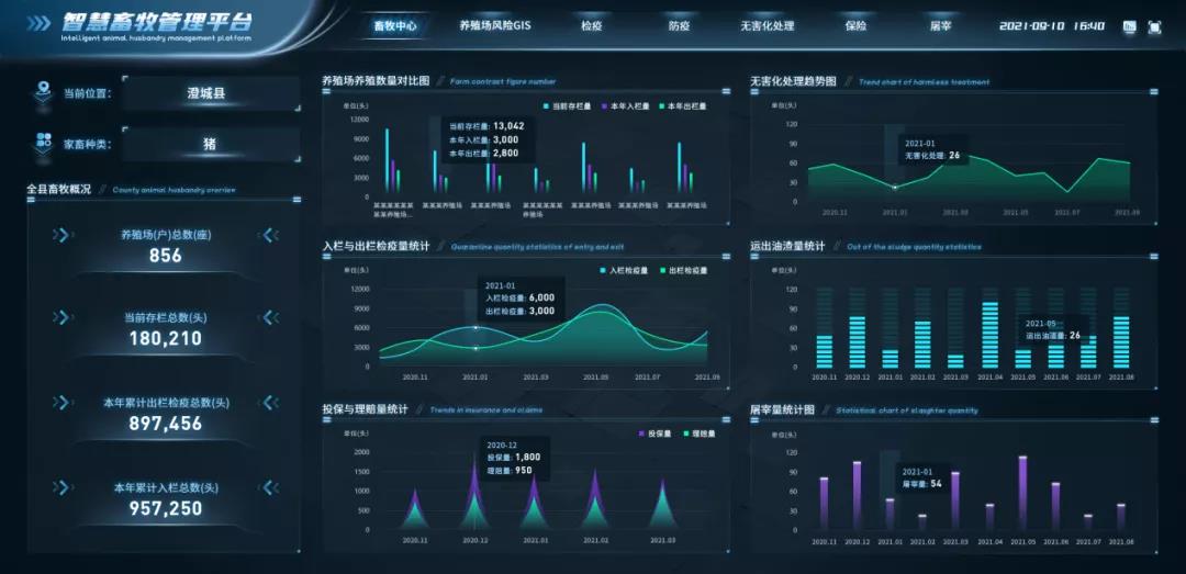 养殖羊的视频_羊的养殖技术视频6_羊养殖技术视频高清