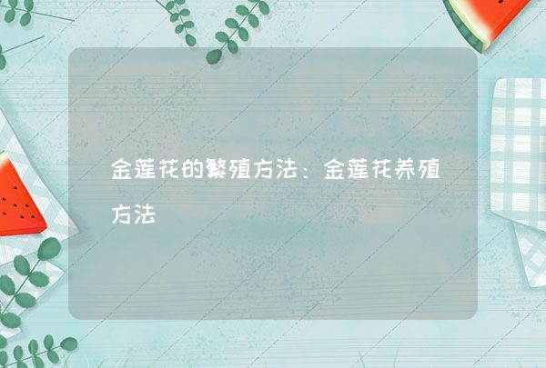 金莲花的繁殖方法：金莲花养殖方法