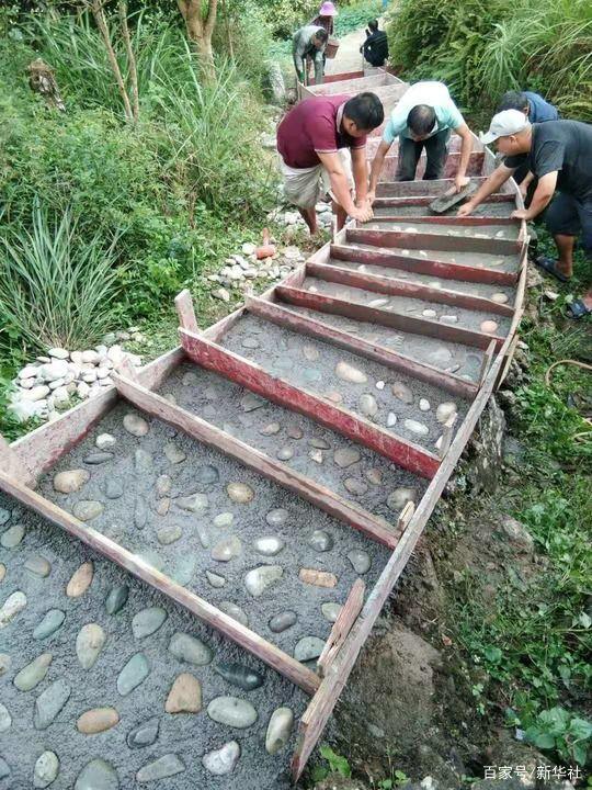 云南致富经_致富经昆明犬_养昆明犬公犬好母犬好