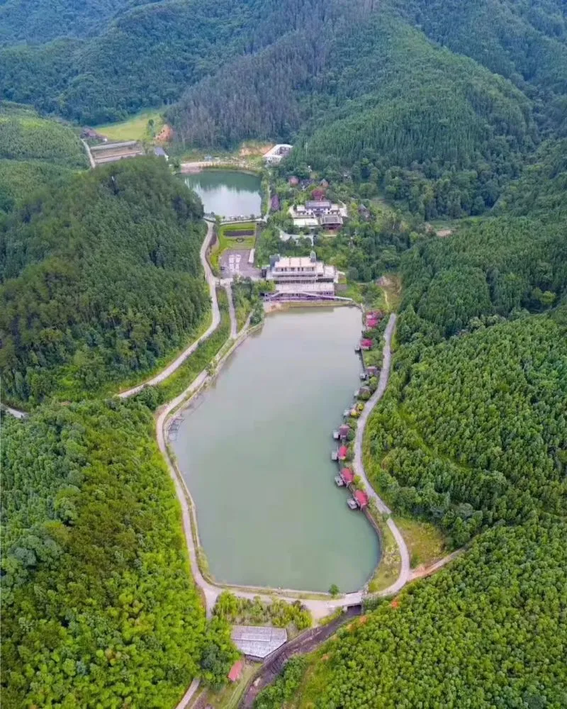 致富农种植林项目有哪些_农村致富新项目种植业_林农种植致富项目