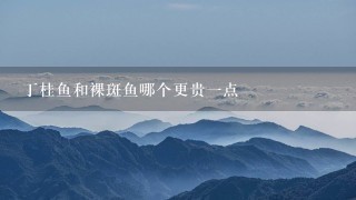 丁桂鱼和裸斑鱼哪个更贵1点