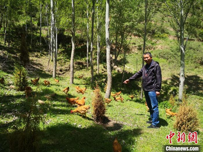 甘肃养殖致富项目_甘肃养殖业什么最赚钱农村_致富甘肃养殖项目有哪些