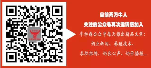 犊牛养殖技术_牛犊的养殖_犊牛养殖成功要点