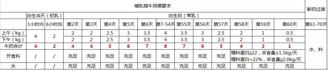 犊牛养殖成功要点_牛犊的养殖_犊牛养殖技术