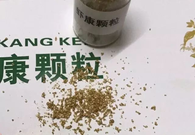 赤线虫的养殖技术_赤虫养殖场_赤虫喂什么鱼