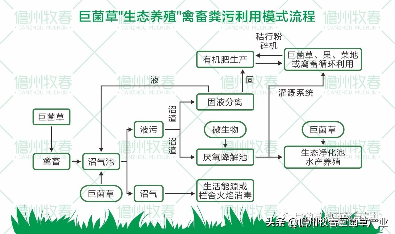 养殖场致富标语四个字_养殖带动致富标语_养殖致富的语句