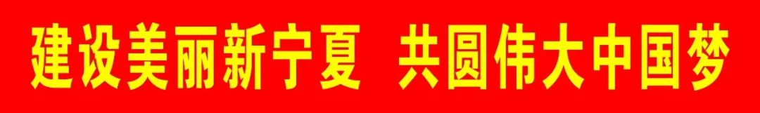 中国28种顶级羊肉，为何盐池滩羊居于首位？