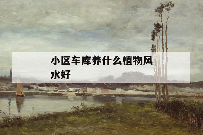 小区车库养什么植物风水好