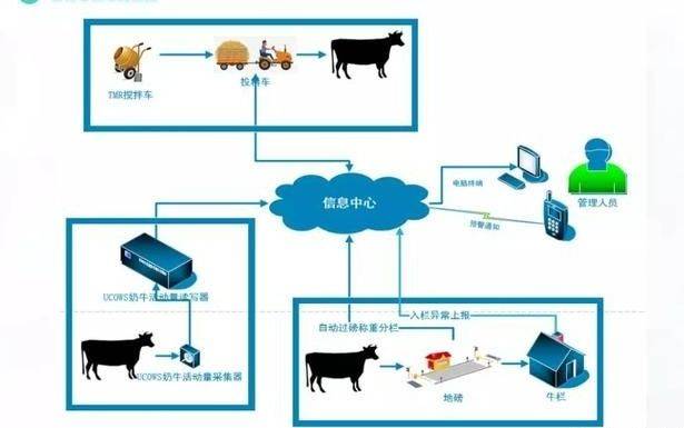 养殖羊子技术要求_如何养殖羊子_养殖羊子的技术