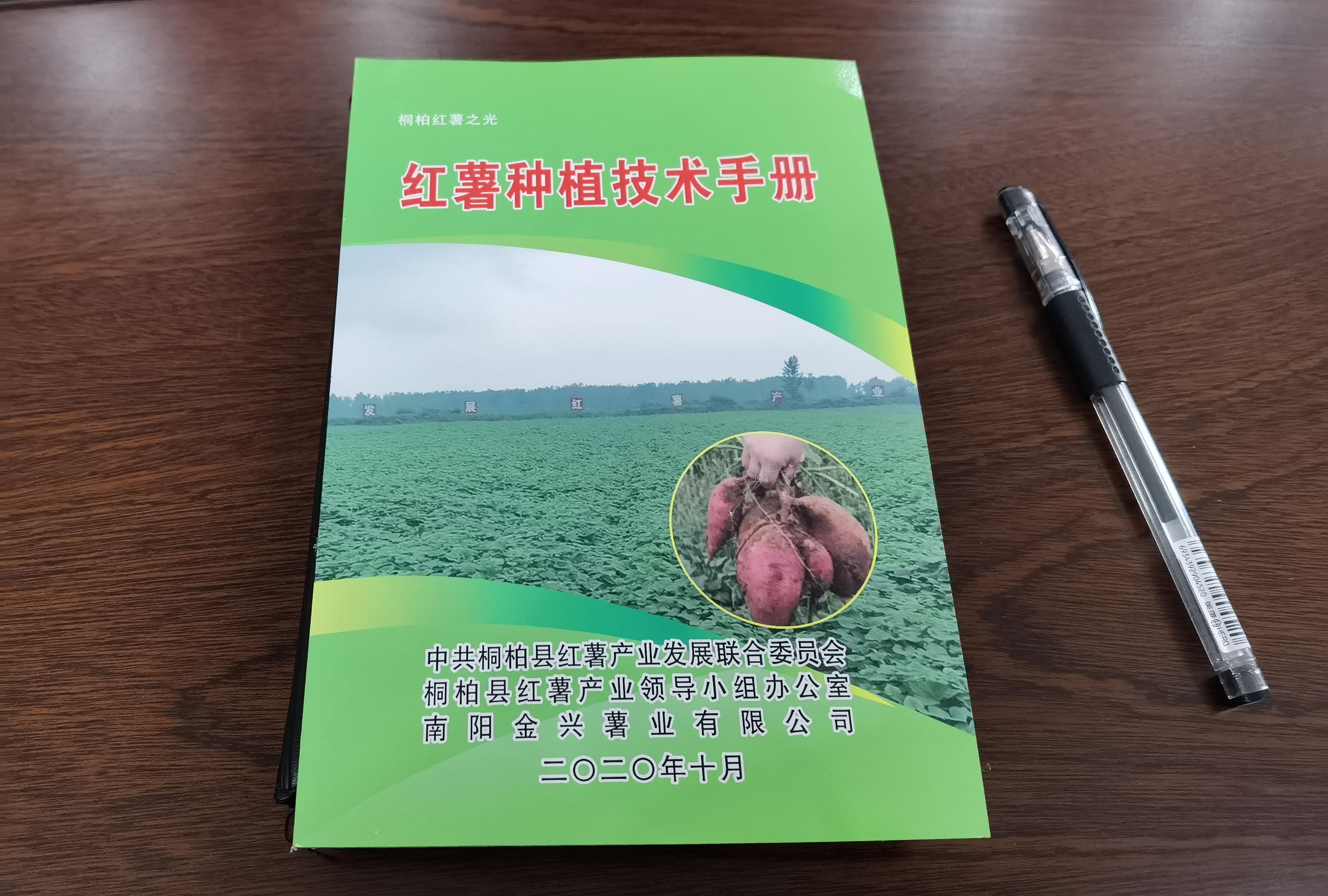 致富经红薯种植人_致富经中红薯的大学生_红薯致富经致富经视频