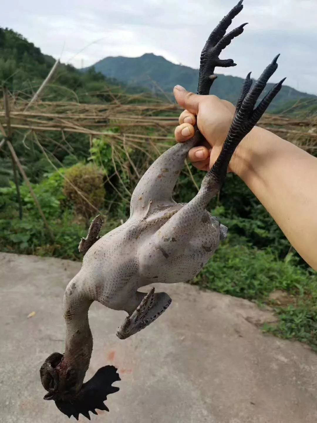 小子穷养闺女富养是什么意思_穷小子养殖致富_穷小子致富记