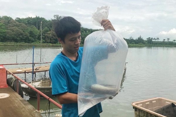 致富养殖项目介绍_大力养殖致富项目_致富养殖项目农村