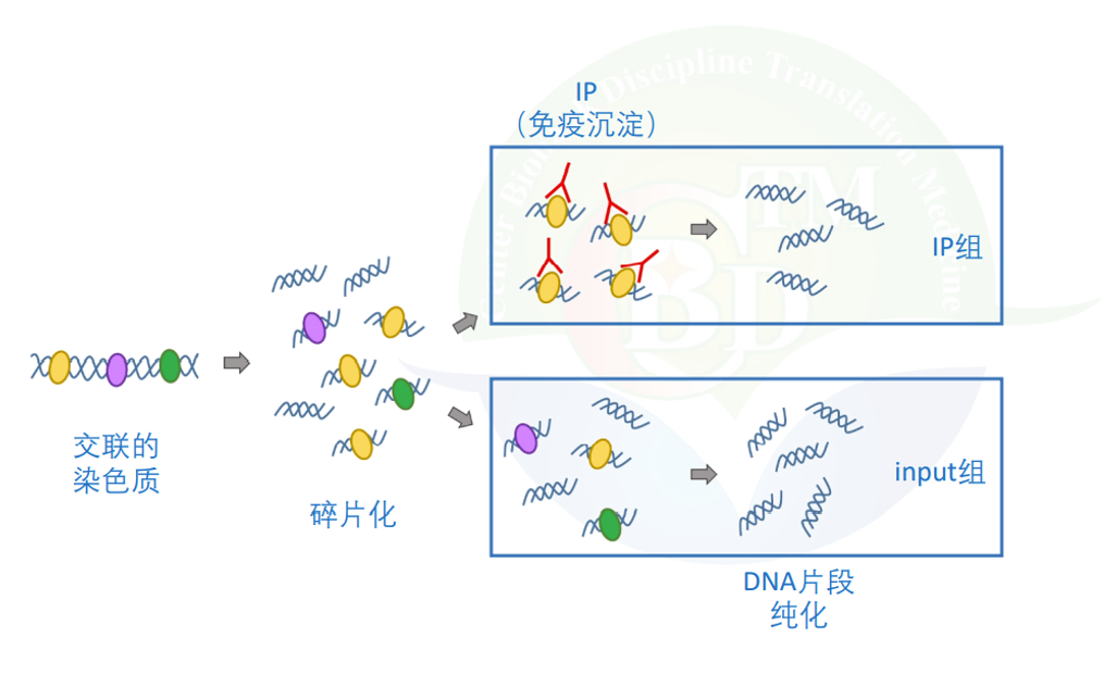 如何鉴定优质项目经验_鉴定优质经验项目的方法_鉴定优质经验项目的意义