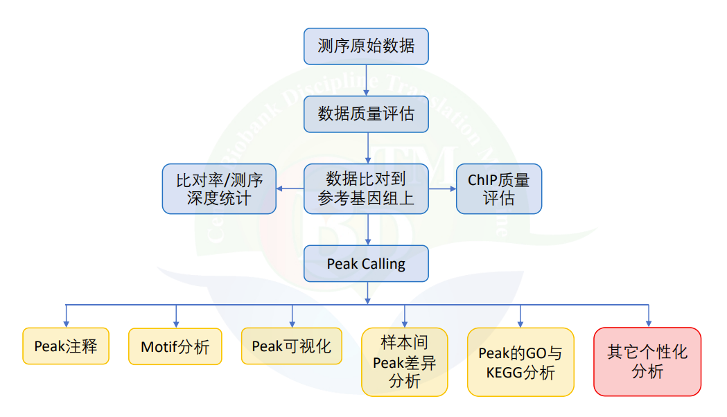 鉴定优质经验项目的方法_鉴定优质经验项目的意义_如何鉴定优质项目经验