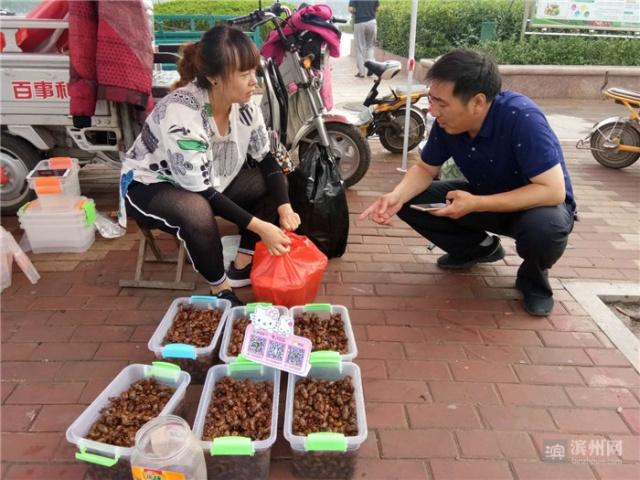 致富种植金蝉视频_种植金蝉致富_致富种植金蝉怎么样