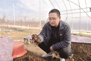 蚯蚓养鸡的养殖方法_鸡西养殖蚯蚓致富新闻_宝鸡蚯蚓养殖