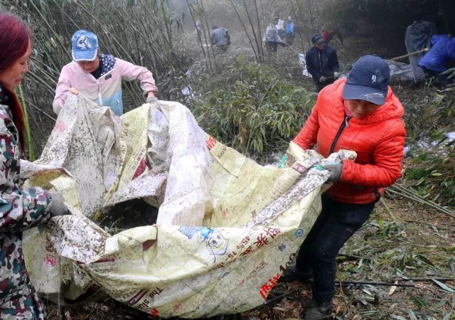 种植竹子 致富_致富竹子种植技术视频_致富竹子种植视频