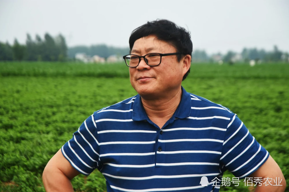 “要想赚钱快，赶紧种野菜”，种植哪些品种身价高又不愁销路？