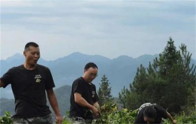 养鸡技术的书_五黑鸡养殖技术的书籍_养殖鸡的书籍