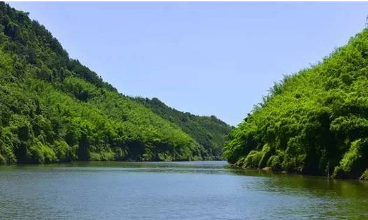 宜宾种植致富药材_宜宾种植基地_宜宾中药材种植基地