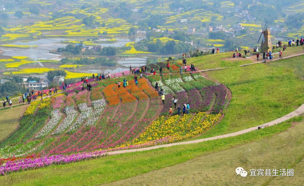 宜宾中药材种植基地_宜宾种植基地_宜宾种植致富药材