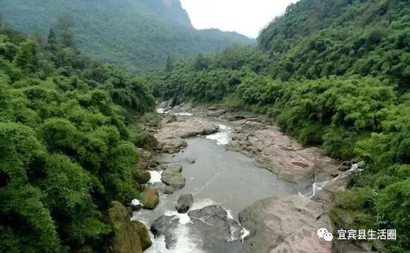 宜宾种植致富药材_宜宾中药材种植基地_宜宾种植基地