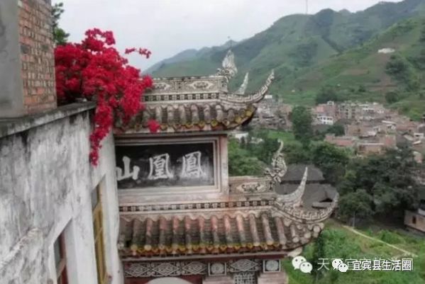 宜宾种植致富药材_宜宾中药材种植基地_宜宾种植基地