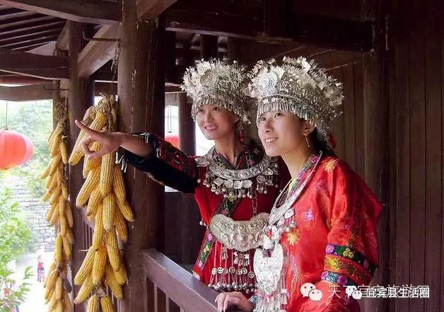 宜宾种植致富药材_宜宾中药材种植基地_宜宾种植基地