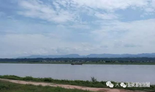 宜宾种植致富药材_宜宾中药材种植基地_宜宾种植基地