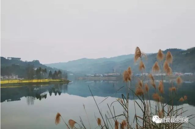 宜宾种植基地_宜宾中药材种植基地_宜宾种植致富药材