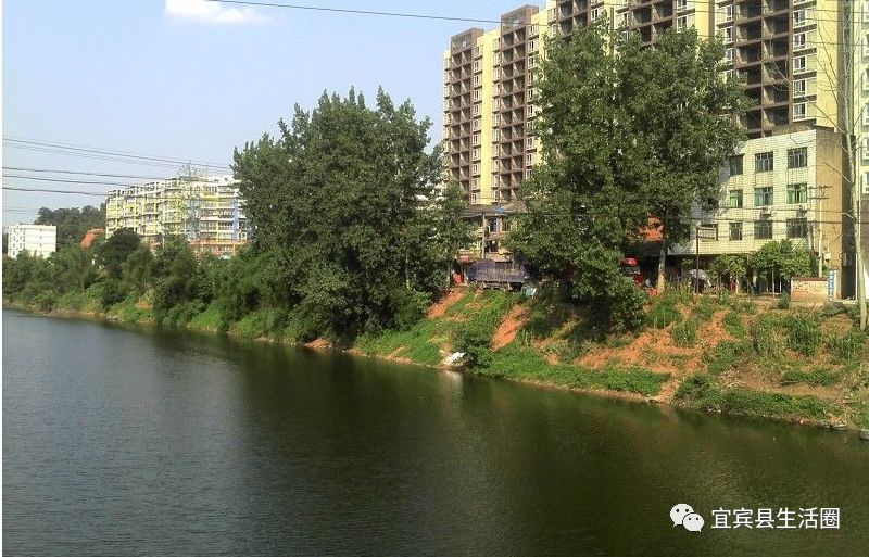 宜宾种植致富药材_宜宾种植基地_宜宾中药材种植基地