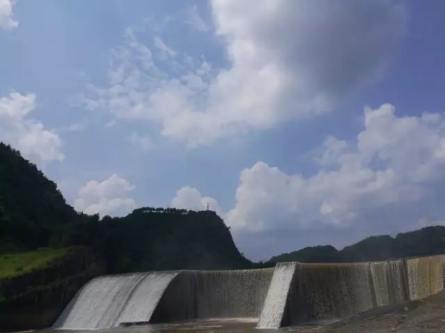 宜宾种植基地_宜宾中药材种植基地_宜宾种植致富药材