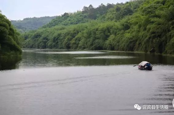 宜宾种植致富药材_宜宾中药材种植基地_宜宾种植基地