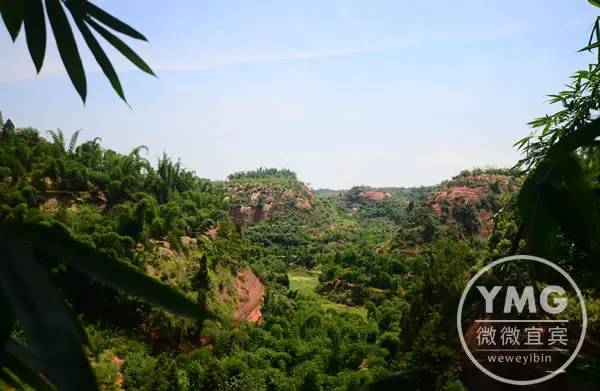 宜宾种植致富药材_宜宾中药材种植基地_宜宾种植基地