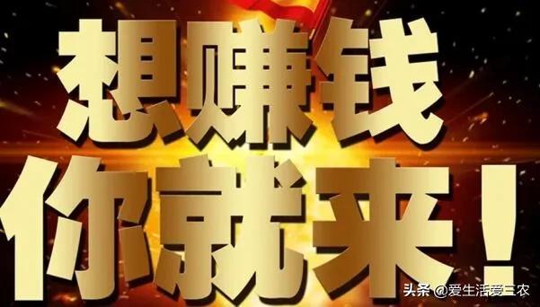 农村4大冷门养殖——养小虫，挣大钱！