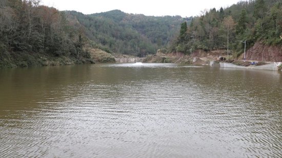 养殖基地内景