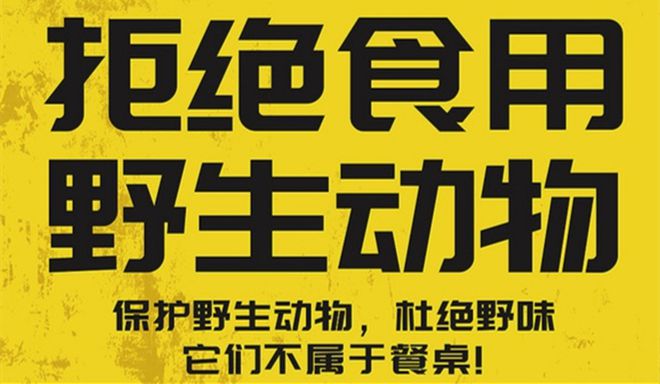 致富经乌梢蛇养殖技术视频_乌梢蛇养殖户_乌稍蛇养殖