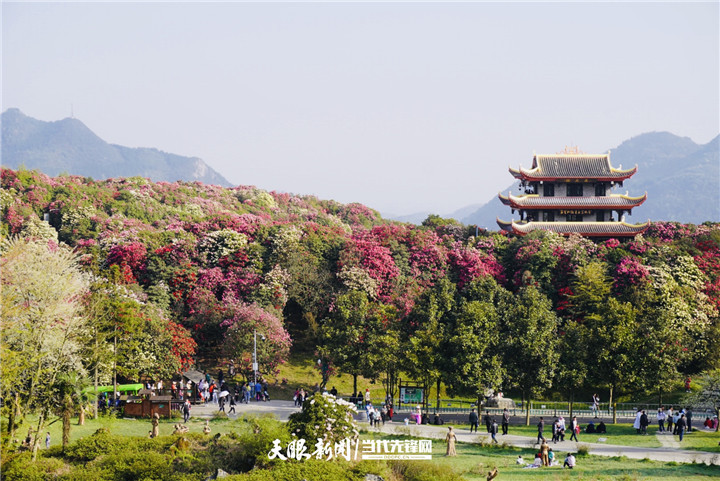 致富种植视频全集_致富经芽苗菜_致富经草芽种植视频