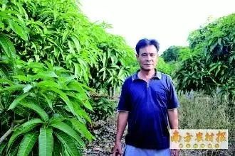 芒果种植匠王乃豹：海南第一批芒果种植大户的35年