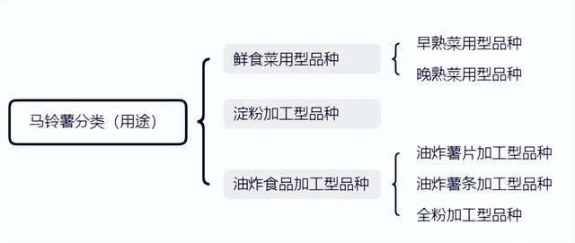 致富经养鸭视频大全_致富经养鸭子视频_农视网致富经养鸭视频