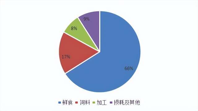 致富经养鸭视频大全_致富经养鸭子视频_农视网致富经养鸭视频