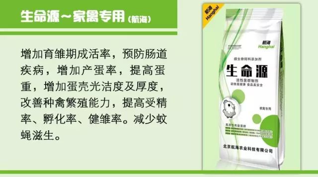 养殖繁育牛技术和饲养方法_繁殖牛羊养殖技术知识_牛羊繁育