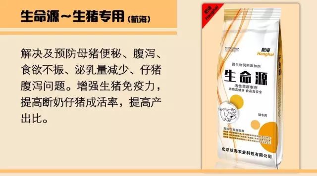 繁殖牛羊养殖技术知识_养殖繁育牛技术和饲养方法_牛羊繁育