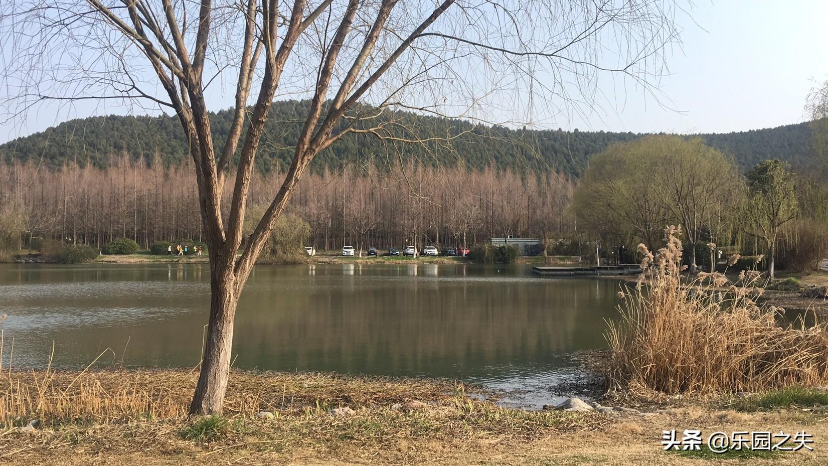 养殖鲤鱼技术_草鱼鲤鱼养殖技术_淡水鲤鱼养殖技术